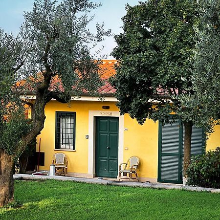 La Vista Agriturismo Boutique Ariccia Exteriör bild